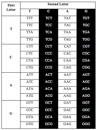 tcag_symmetry2