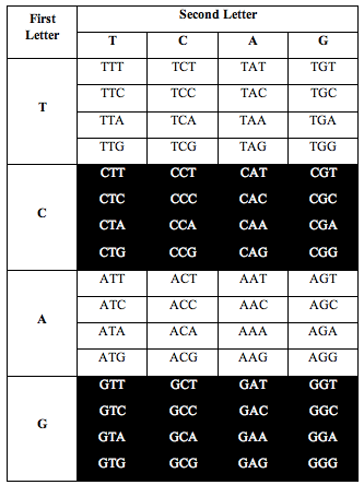 tcag_symmetry3