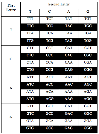 tcag_symmetry4